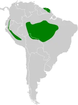 Distribución geográfica del hormiguero negruzco.