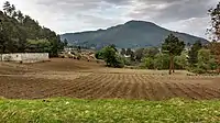 Cultivos de trigo en San Carlos Sija, con el cerro de Sija al fondo.