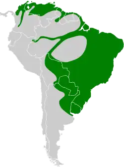 Distribución geográfica del curutié colorado.