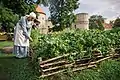 Huerta medieval del castillo de Cēsis.