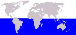 Distribución del rorcual austral.