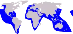 Distribución de la falsa orca