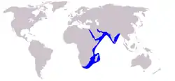 Distribución de Sousa plumbea