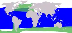 Verde: distribución del calderón común; azul: distribución del calderón tropical.