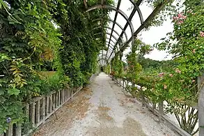 Pérgola con rosas antiguas.