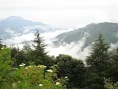 Paraje Chail, en Himachal Pradesh.