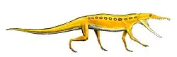 Chanaresuchus bonapartei