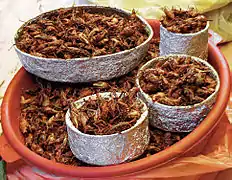 Chapulines.