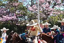 2012 - Jiquilpan de Juárez