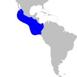 Distribución más frecuente, con avistamientos en otros lugares