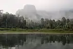 Selva tropical primaria alrededor del lago Cheow Lan
