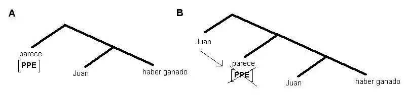 Chequeo del rasgo PPE y "ascenso" del Sintagma determinante