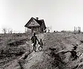 Niños afroamericanos de Wadesboro, Carolina del Norte. Fotografiado por Marion Post Wolcott en 1938.