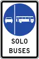 Vía segregada buses