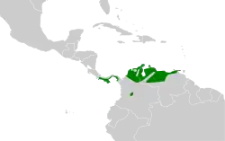 Distribución geográfica del saltarín lanceolado.