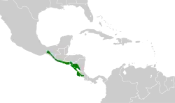 Distribución geográfica del saltarín colilargo.