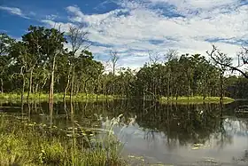 Lago Beeshazar cerca del Parque Nacional de Chitwan