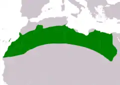 Distribución de Chlamydotis undulata