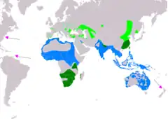 Distribución de Chlidonias hybrida