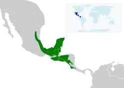 Distribución de C. canivetii