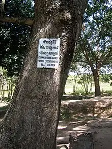 Fosa común en Choeung Ek. El árbol era utilizado para estrellar niños y causarles la muerte.