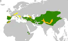 alt=Distribución de las especies de este género.
     Pyrrhocorax pyrrhocorax
     Pyrrhocorax graculus
     Ambas especies