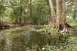 El "Cibolo Creek" en el "Cibolo Nature Center".