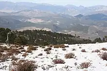 Cerro del Potosí en Galeana, Nuevo León