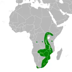 Distribución del aguilucho lagunero etiópico