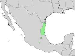 Distribución natural de Citharexylum berlandieri