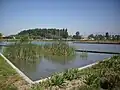 Laguna navegable dentro del Parque Bicentenario