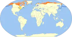 Mapa de distribución. En naranja: zonas de nidificación, en amarillo: área de migración, en azul: áreas de invernada