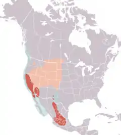 Distribución del achichilique de Clark