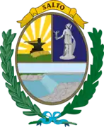 Escudo de Salto