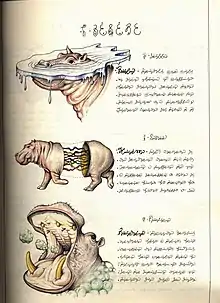 Codex Seraphinianus