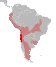 Distribución geográfica de Leopardus colocolo. En rojo la zona de distribución de la que podría ser especie endémica de Chile. Más claro, la distribución de la especie tomada en sentido amplio, según IUCN«Lucherini, M., Eizirik, E., de Oliveira, T., Pereira, J. & Williams, R.S.R. 2016. Leopardus colocolo. The IUCN Red List of Threatened Species 2016». 