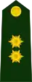 General de brigada del Ejército.