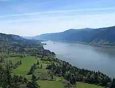 La garganta desde el Cape Horn Trail, mirando al este hacia Beacon Rock.