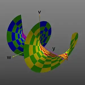 Proyección en las dimensiones 
  
    
      
        y
      
    
    {\displaystyle y}
  
, 
  
    
      
        v
      
    
    {\displaystyle v}
  
 y 
  
    
      
        w
      
    
    {\displaystyle w}
  
, produciendo una forma espiral. (
  
    
      
        y
      
    
    {\displaystyle y}
  
rango extendido a ± 2π, nuevamente como imagen en perspectiva 2-D).