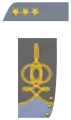 Coronel (de Infantería)