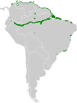 Distribución geográfica del conirrostro bicolor.