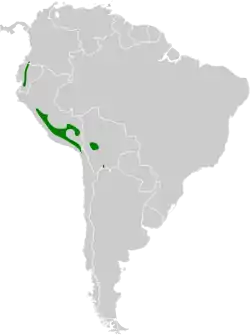 Distribución geográfica del conirrostro gigante.