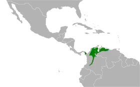 Distribución geográfica del conirrostro orejiblanco