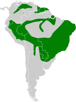 Distribución geográfica del conirrostro culirrufo.