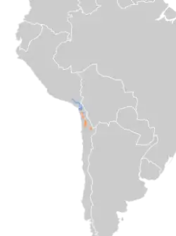 Distribución geográfica del conirrostro de tamarugal.