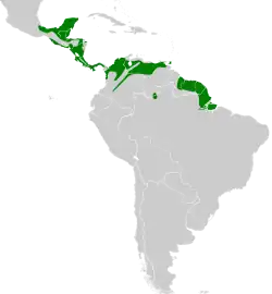 Distribución geográfica del pibí tropical norteño.