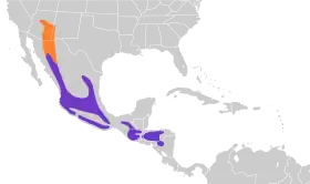 Distribución geográfica del pibí tengofrío.