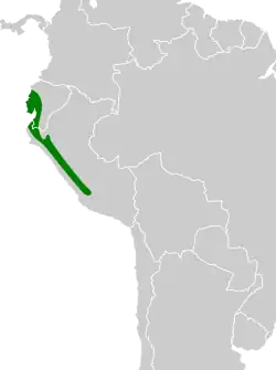 Distribución geográfica del pibí tropical occidental.