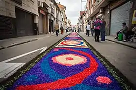 Alfombra floral del Corpus