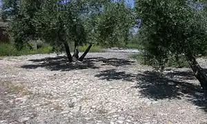 Era del cortijo de La Iglesia